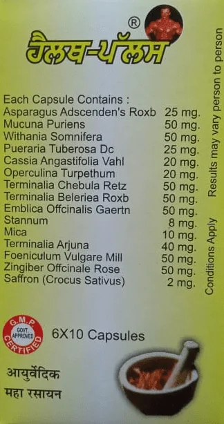 Health Plus Ayurvedic Capsules ( 120 Capsules ) 2 Month Course - Image 2